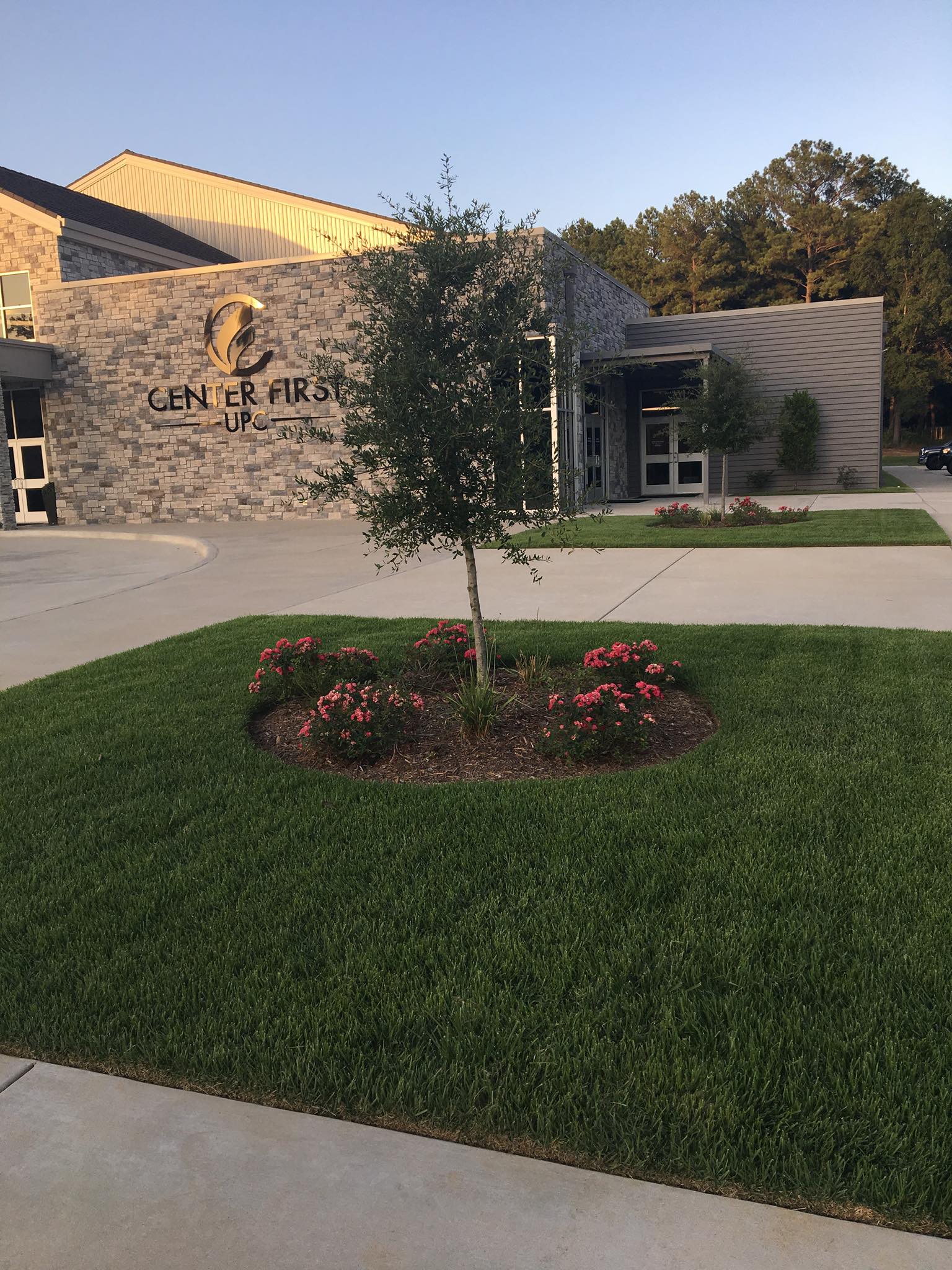 Shrub & Hedge Trimming service in Center, TX